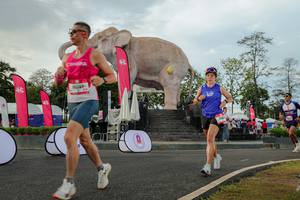 BIB: 
                            <button type="button" onclick="openModal(26528528)" class="btn btn-primary btn-sm float-right btn-popup" data-toggle="modal" data-target=".modal-high-quality">
                        <i class="fas fa-shopping-cart"></i> Add to Cart
                    </button>
                                            <button type="button" onclick="isThisMe(26528528, true)" class="btn btn-success btn-sm float-right btn-popup btn-isme hidden" data-toggle="tooltip" data-placement="bottom" title="นี่คือรูปของคุณใช่ไหม คลิกที่นี่เพื่อเอาเข้าอัลบั้ม">
                        <i class="fas fa-plus"></i> Add to album
                    </button>
                    <button type="button" onclick="isThisMe(26528528, false)" class="btn btn-warning btn-sm float-right btn-popup btn-isnotme hidden">
                        <i class="fas fa-ban"></i> Remove from album
                    </button>